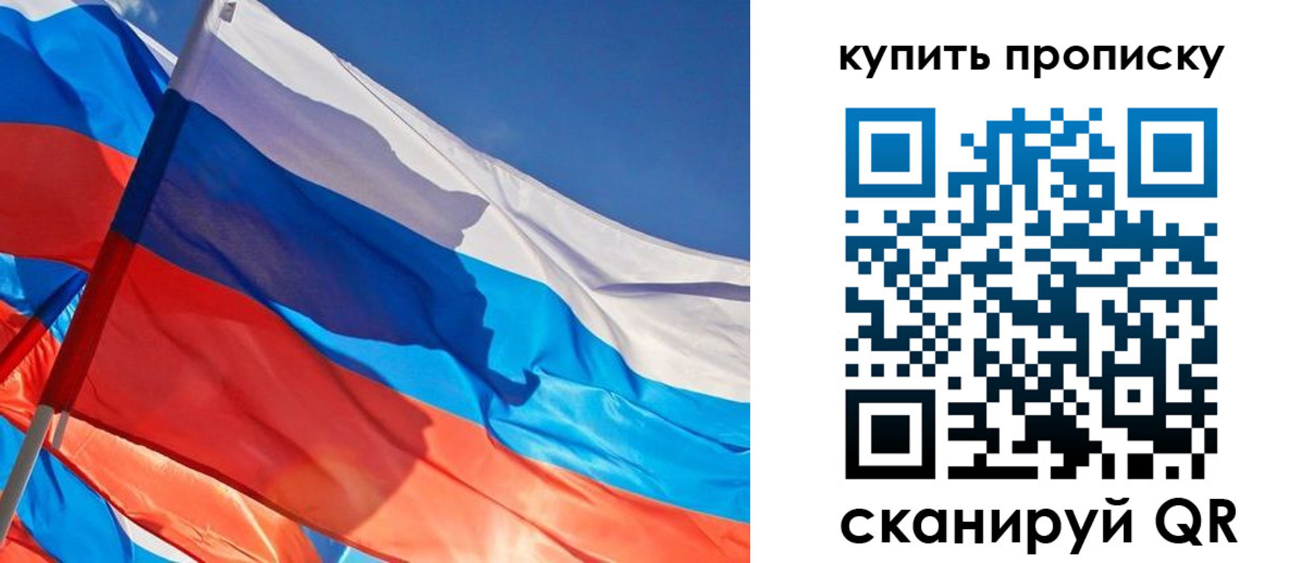 прописка штамп в Балтийске