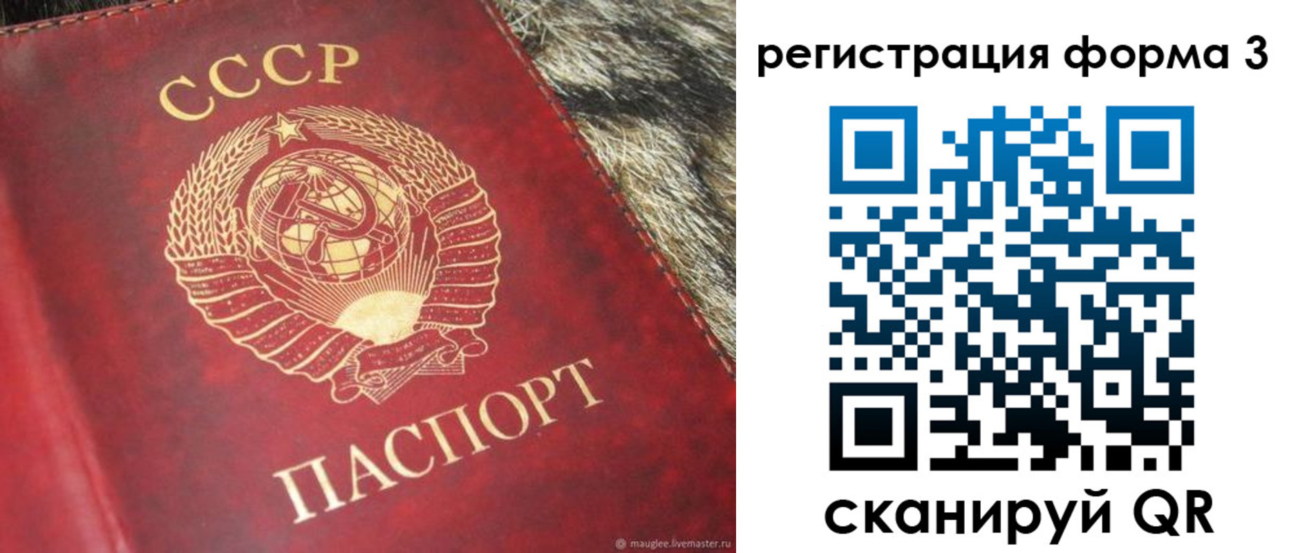 прописка регистрация в Балтийске